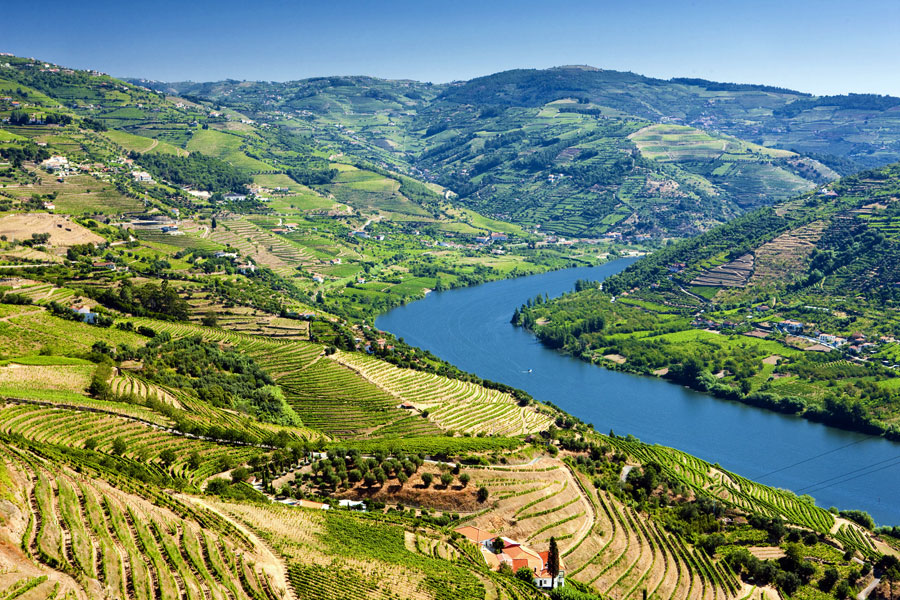 Douro Valley - Portugal Travel Guide